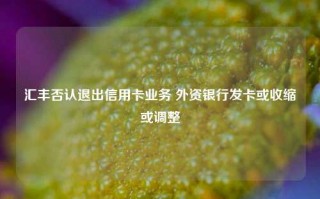 汇丰否认退出信用卡业务 外资银行发卡或收缩或调整