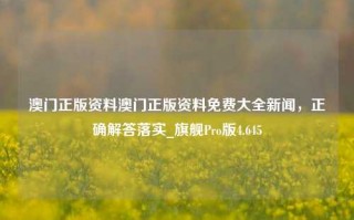 澳门正版资料澳门正版资料免费大全新闻，正确解答落实_旗舰Pro版4.645