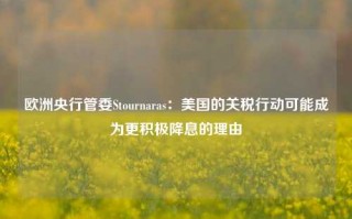 欧洲央行管委Stournaras：美国的关税行动可能成为更积极降息的理由