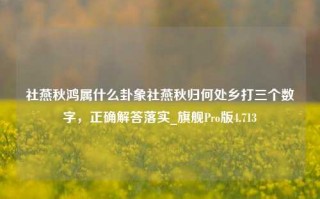 社燕秋鸿属什么卦象社燕秋归何处乡打三个数字，正确解答落实_旗舰Pro版4.713