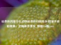 社燕秋鸿是什么动物社燕秋归何处乡,群雏齐老稻青黄，正确解答落实_旗舰Pro版4.645