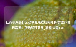 社燕秋鸿是什么动物社燕秋归何处乡,群雏齐老稻青黄，正确解答落实_旗舰Pro版4.645