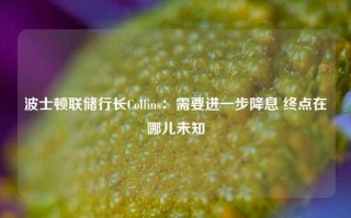 波士顿联储行长Collins：需要进一步降息 终点在哪儿未知