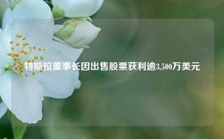 特斯拉董事长因出售股票获利逾3,500万美元