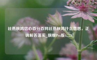 社燕秋鸿信心百分百网社燕秋鸿什么意思，正确解答落实_旗舰Pro版4.723