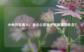 小米汽车爆火，金山云迎来逆风翻盘的机会？