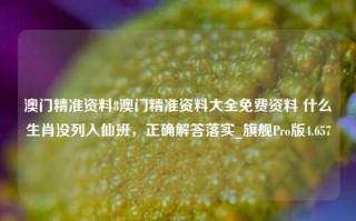 澳门精准资料8澳门精准资料大全免费资料 什么生肖没列入仙班，正确解答落实_旗舰Pro版4.657