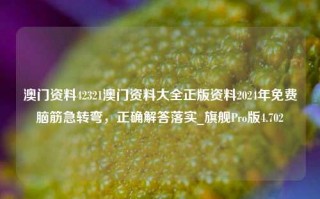 澳门资料42321澳门资料大全正版资料2024年免费脑筋急转弯，正确解答落实_旗舰Pro版4.702