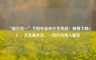 “报行合一”下的专业中介生死战：保费下降30%，大改基本法，一切只为将人留住