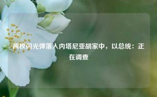 两枚闪光弹落入内塔尼亚胡家中，以总统：正在调查