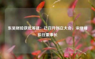 东吴财险获批筹建：已召开创立大会，宋继峰拟任董事长