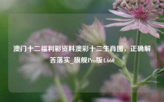 澳门十二福利彩资料澳彩十二生肖图，正确解答落实_旗舰Pro版4.660