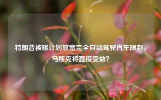 特朗普被曝计划放宽完全自动驾驶汽车限制，马斯克将直接受益？