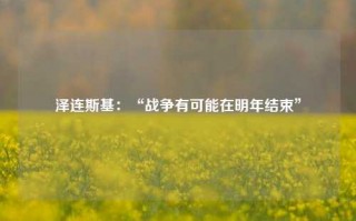 泽连斯基：“战争有可能在明年结束”