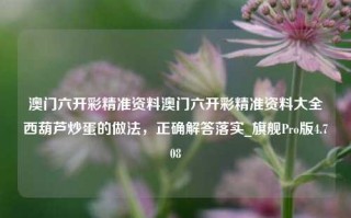 澳门六开彩精准资料澳门六开彩精准资料大全西葫芦炒蛋的做法，正确解答落实_旗舰Pro版4.708