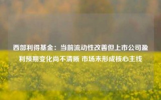 西部利得基金：当前流动性改善但上市公司盈利预期变化尚不清晰 市场未形成核心主线