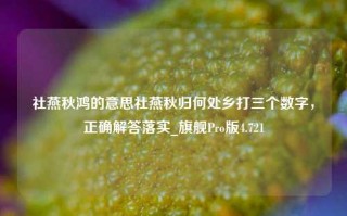 社燕秋鸿的意思社燕秋归何处乡打三个数字，正确解答落实_旗舰Pro版4.721