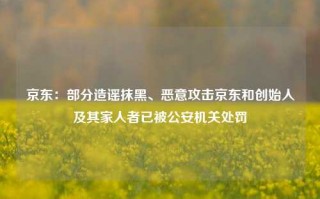 京东：部分造谣抹黑、恶意攻击京东和创始人及其家人者已被公安机关处罚