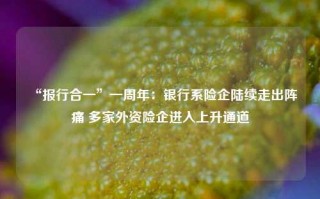 “报行合一”一周年：银行系险企陆续走出阵痛 多家外资险企进入上升通道