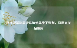 泽连斯基称美无法迫使乌坐下谈判，马斯克发帖嘲笑