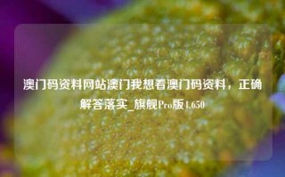 澳门码资料网站澳门我想看澳门码资料，正确解答落实_旗舰Pro版4.650