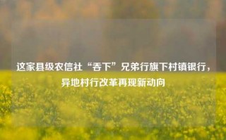 这家县级农信社“吞下”兄弟行旗下村镇银行，异地村行改革再现新动向