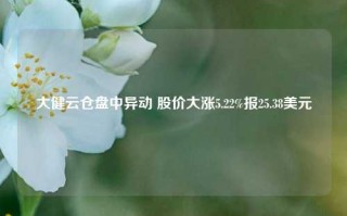 大健云仓盘中异动 股价大涨5.22%报25.38美元