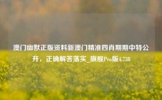 澳门幽默正版资料新澳门精准四肖期期中特公开，正确解答落实_旗舰Pro版4.738