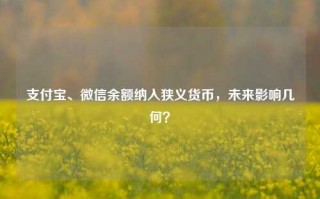 支付宝、微信余额纳入狭义货币，未来影响几何？