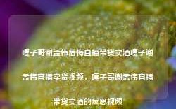 嘎子哥谢孟伟后悔直播带货卖酒嘎子谢孟伟直播卖货视频，嘎子哥谢孟伟直播带货卖酒的反思视频