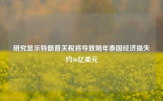 研究显示特朗普关税将导致明年泰国经济损失约46亿美元