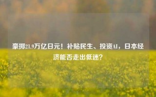 豪掷21.9万亿日元！补贴民生、投资AI，日本经济能否走出低迷？