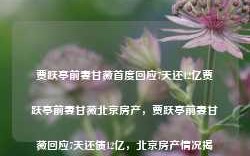 贾跃亭前妻甘薇首度回应7天还12亿贾跃亭前妻甘薇北京房产，贾跃亭前妻甘薇回应7天还债12亿，北京房产情况揭秘