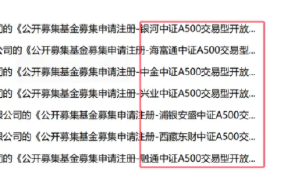 已有46家基金公司布局中证A500指数：国泰基金A500ETF规模278亿元同类最大，国金基金9.85亿元规模最小(名单)