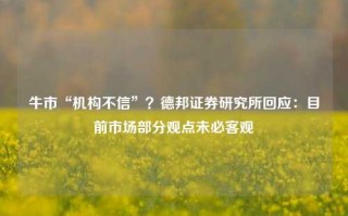 牛市“机构不信”？德邦证券研究所回应：目前市场部分观点未必客观