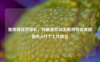 墨西哥经济部长：特朗普拟议关税将导致美国损失40万个工作岗位