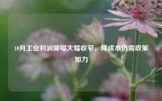 10月工业利润降幅大幅收窄，降成本仍需政策加力