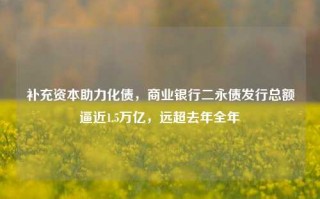 补充资本助力化债，商业银行二永债发行总额逼近1.5万亿，远超去年全年