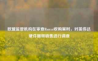 欧盟监管机构在审查Run:ai收购案时，对英伟达硬件捆绑销售进行调查