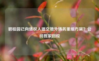 碧桂园已向债权人提交境外债务重组方案？公司独家回应