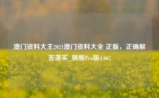 澳门资料大主2021澳门资料大全 正版，正确解答落实_旗舰Pro版4.667