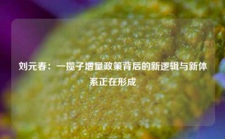 刘元春：一揽子增量政策背后的新逻辑与新体系正在形成