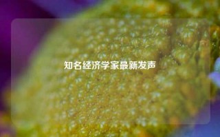 知名经济学家最新发声