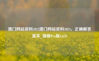 澳门网站资料2022澳门网站资料2024，正确解答落实_旗舰Pro版4.659