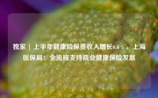 独家 | 上半年健康险保费收入增长6.6％，上海医保局：全流程支持商业健康保险发展