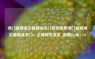 澳门最精准正最精准龙门客栈免费澳门最精准正最精准龙门，正确解答落实_旗舰Pro版4.711