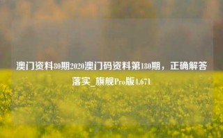 澳门资料80期2020澳门码资料第180期，正确解答落实_旗舰Pro版4.671