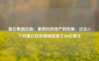 黑石集团总裁：重燃对房地产的热爱，过去12个月里已在该领域投资了300亿美元