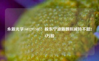 永新光学(603297.SH)：股东宁波新颢拟减持不超28万股