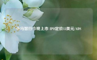 小马智行今晚上市 IPO定价13美元/ADS